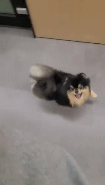 방탄팬들이 자꾸 브이앱 켜달라고 하는데 어떻게 생각해? | 인스티즈