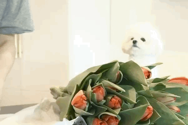 [잡담] 헐 대박 오늘이 그날이었다니!! | 인스티즈