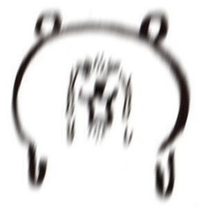 강아지야..보고싶다..엉엉 | 인스티즈