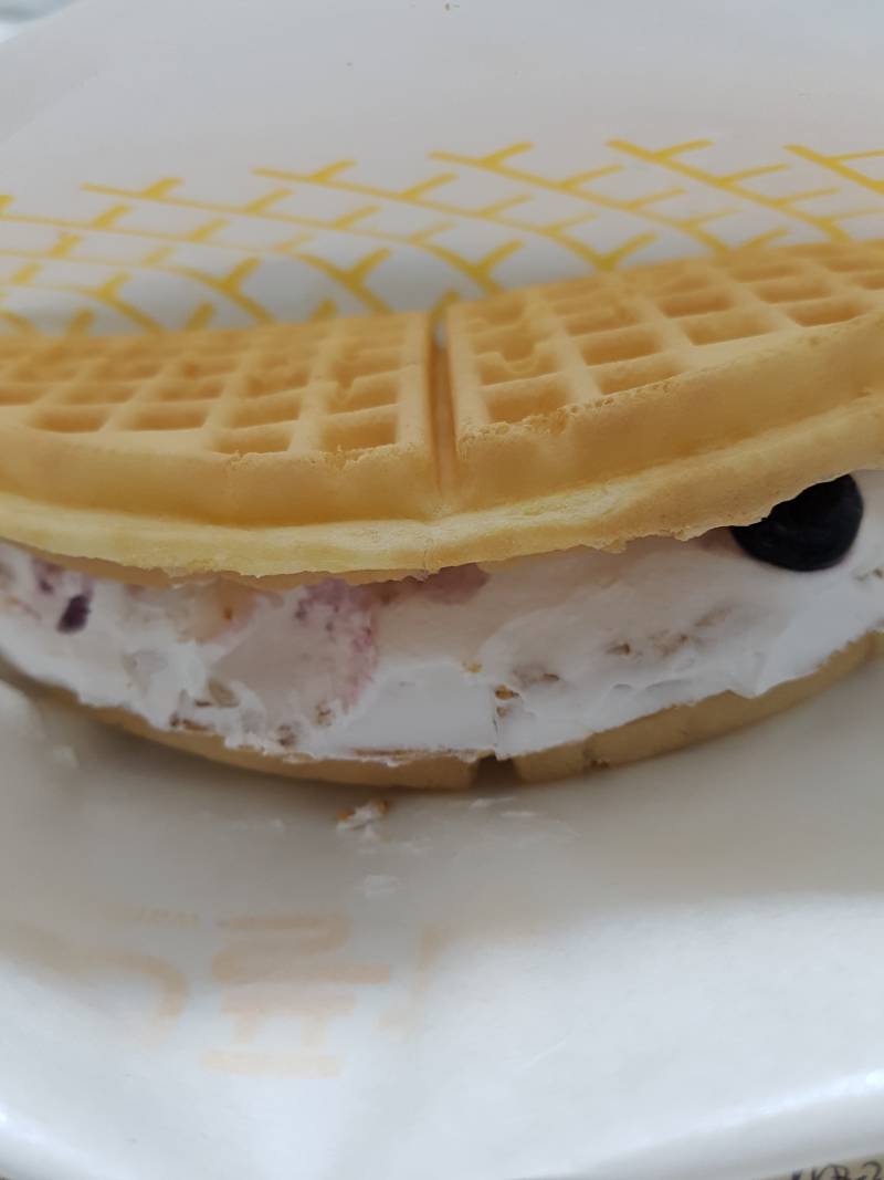 와플대학 블루베리와플 와앙 - 인스티즈(instiz) 맛집/음식 카테고리