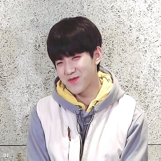 잃어버린 데이식스 막내 강아지를 찾습니다 내공 100 | 인스티즈