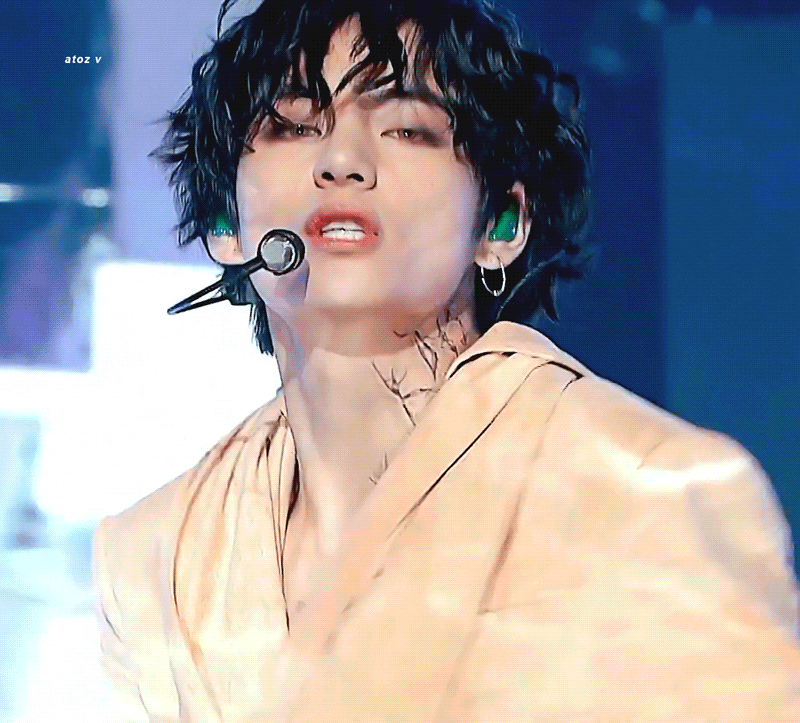 방탄판 최대의 난제...뷔(김태형)는 도대체 무엇인가?🐯🐻🦊🦁 | 인스티즈