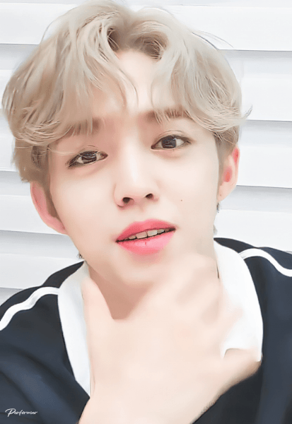 혼혈인이 아니라는 사실에 ㄹㅇ깜짝놀란 아이돌 두명 | 인스티즈