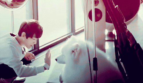 [잡담] 백현 이 사진....... | 인스티즈