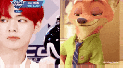 확신의 닉,,🦊 | 인스티즈