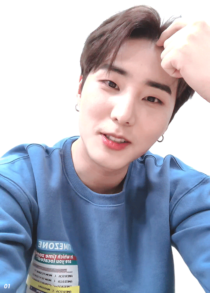 나의 아기 고양이를 데리러 왔다 | 인스티즈