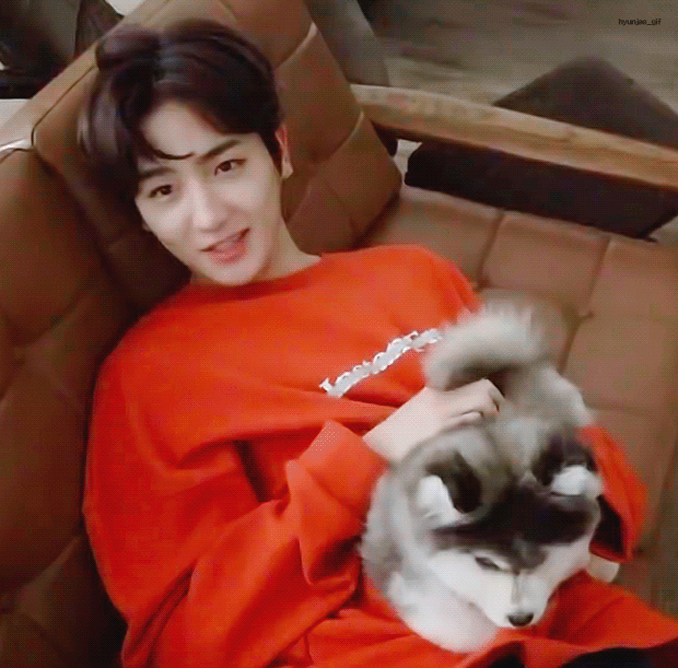 더보이즈+강아지=필승조합 | 인스티즈