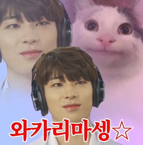 세븐틴 와 | 인스티즈