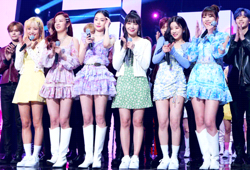 호에에에엥 에이핑크 보고싶다아앙 | 인스티즈