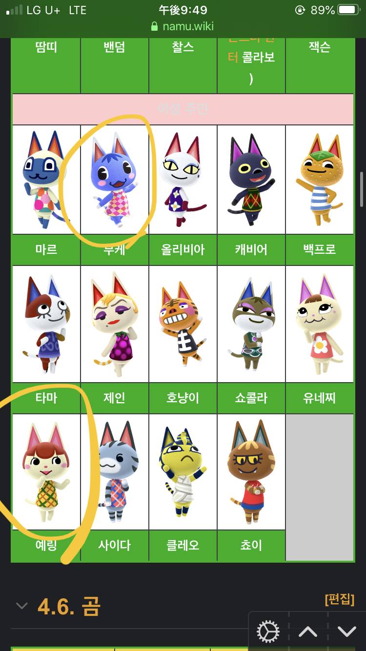 예링이랑 부케중에 누가 더 귀여워..? - 인스티즈(instiz) 동물의숲 카테고리