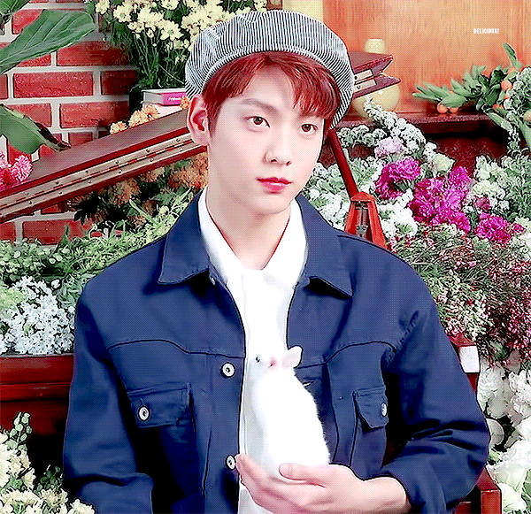 토끼가 기어오르네 | 인스티즈