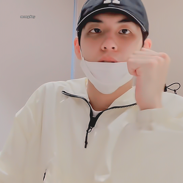 큰방 모두가 공감할 본진이 코로롱 만나면 때린다는 짤.jyp | 인스티즈