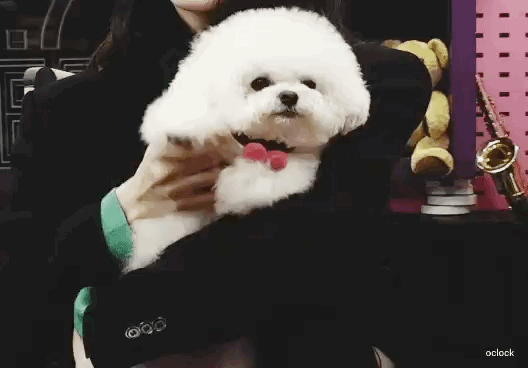 [잡담] 헐 대박 오늘이 그날이었다니!! | 인스티즈