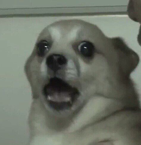 ㄱ 알페스 하는 사람들 진짜 이거 아니냐 | 인스티즈