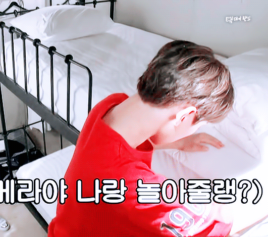 골차들아 예쁘니들 보고싶어 | 인스티즈