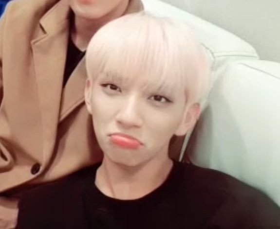 세븐틴 아무거나짤 모음 | 인스티즈