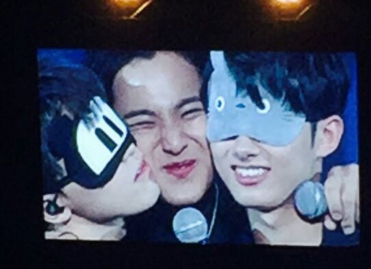 세븐틴 아무거나짤 모음 | 인스티즈