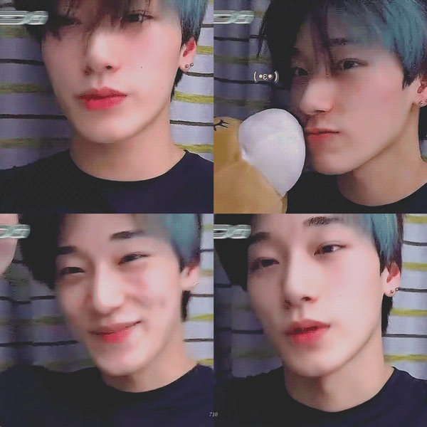 [잡담] 최산 따끈말랑포근고양이... | 인스티즈