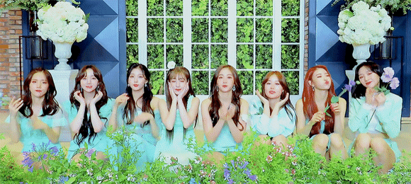 공백기 1년 2개월째 518일째인 그룹 어디야 | 인스티즈