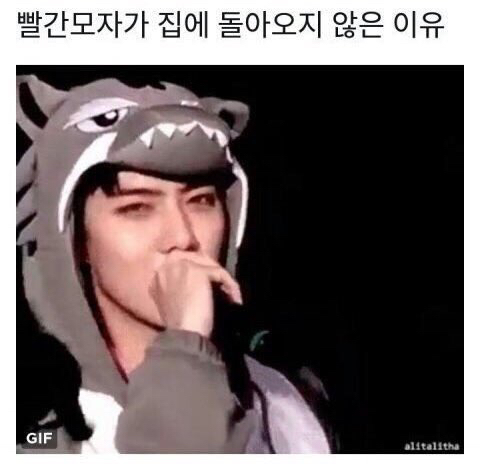 엑소 (뭐라고 불러야 할지...) 그거 모음.jpg | 인스티즈