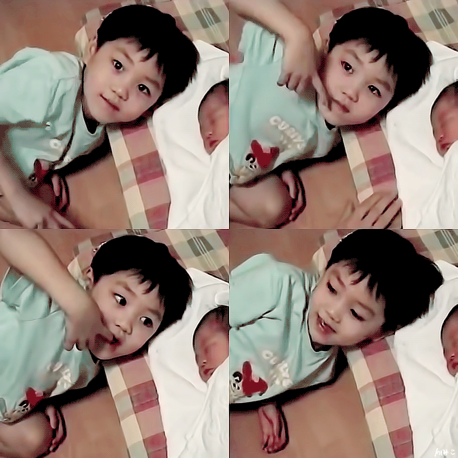 내본진 애기때 사진인데 진짜 귀엽지...지금이랑 똑같이 생겼다... | 인스티즈