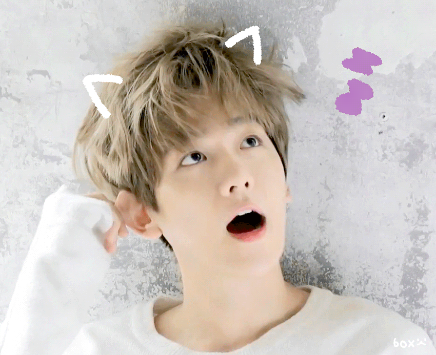 백현 팬들한테 하는 얘기가 항상 말 나오는 이유 txt | 인스티즈