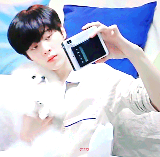 오늘 아멍대보고 김우석 강아지 입덕하신분들은 꼭 보세요 | 인스티즈