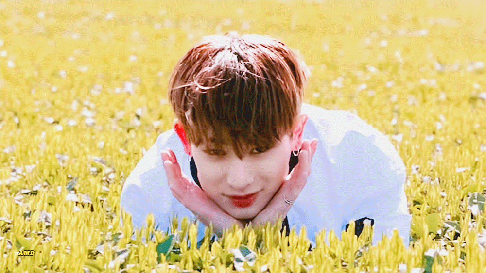 예쁜 원호모음 | 인스티즈