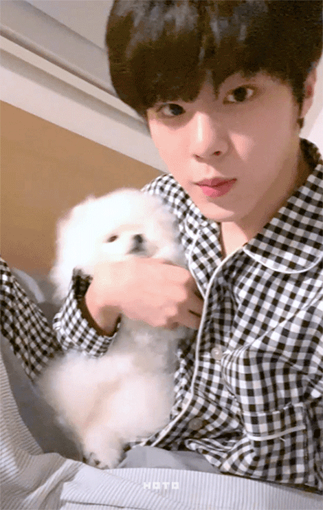 김우석 유라이크 다 100으로 올린 것 처럼 생겼어 | 인스티즈