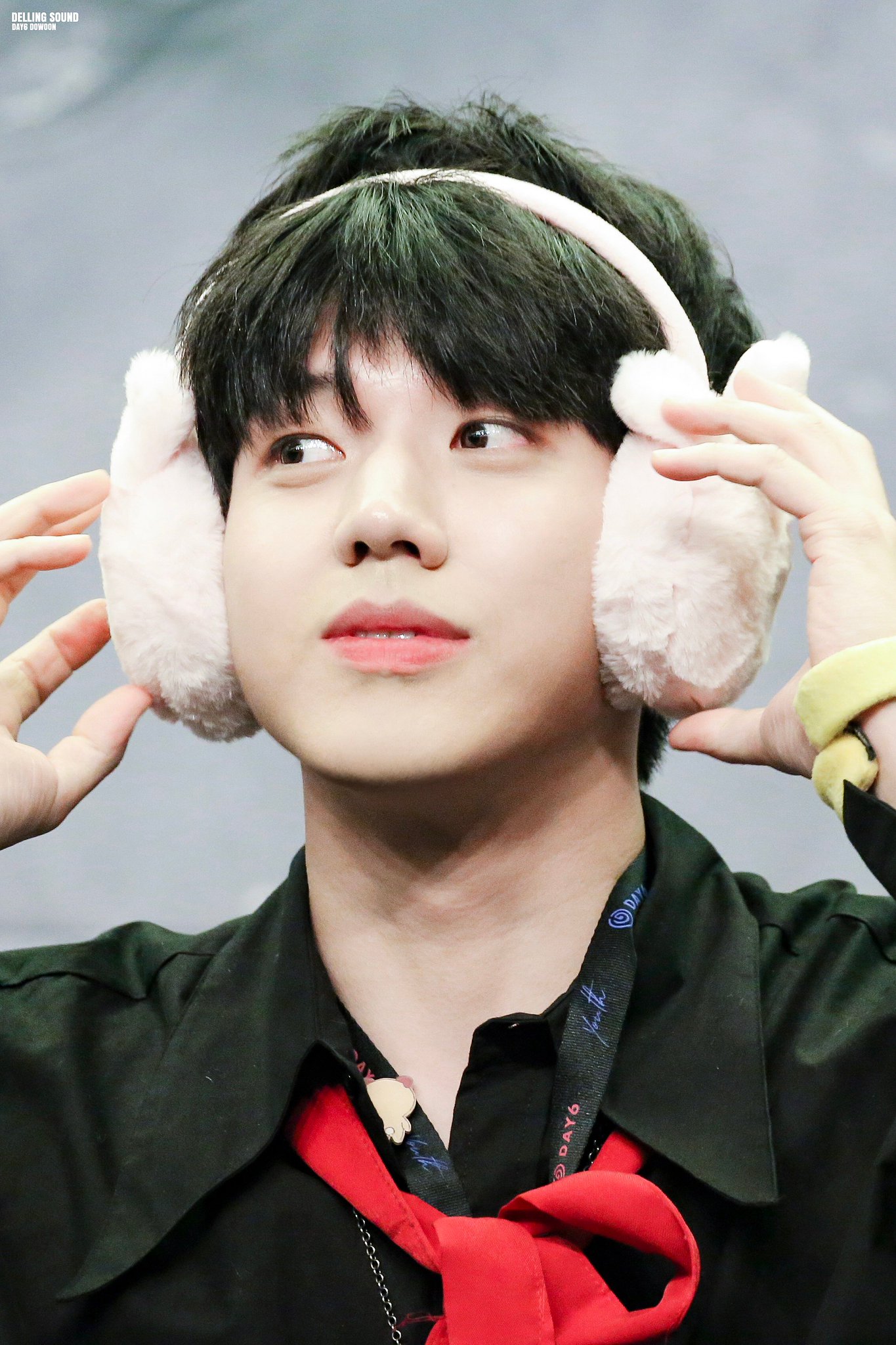 👤자신이 강아지라는거 알고있어요? | 인스티즈