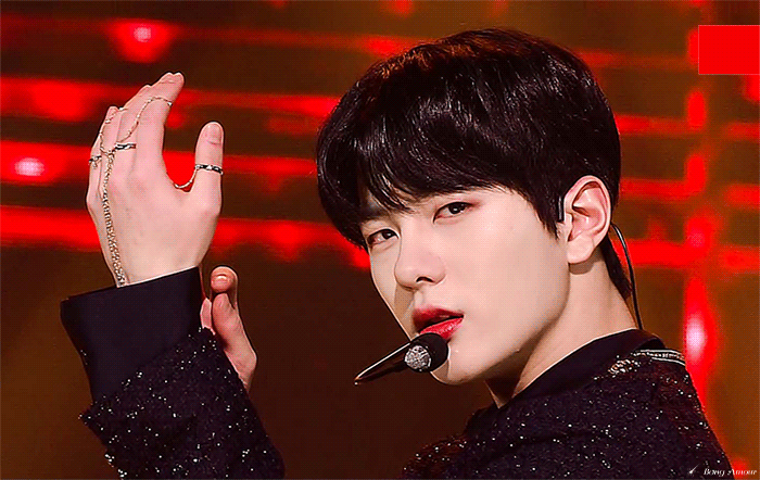 안녕하세요 제 여보들을 소개합니다 | 인스티즈