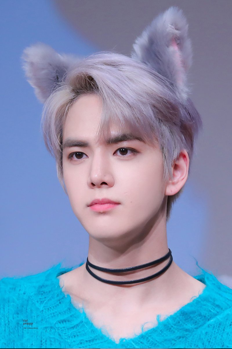 나는 팬싸에서 이렇게 머리띠 센스넘치는거 좋아.. | 인스티즈