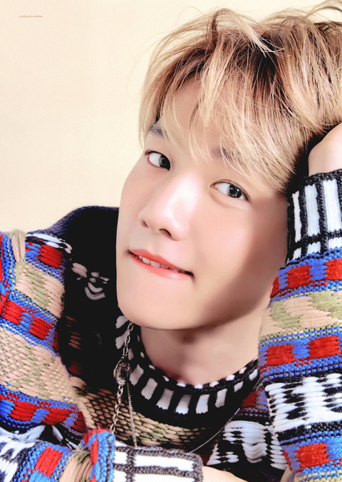 백현이 같은 포즈 다른 느낌은 이게 체고임... | 인스티즈