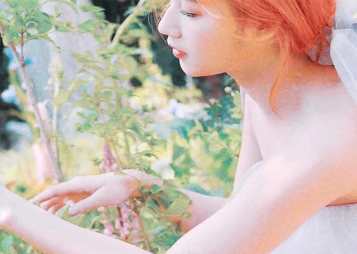 그럼 난 트와 팬아저했던 사진들 자랑해야지 | 인스티즈