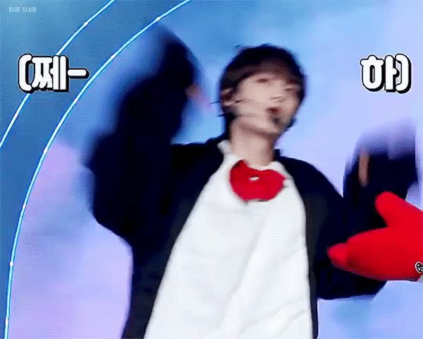 [잡담] 우리 강아지 너무 귀여워서 가끔 돌아버릴 것 같음 | 인스티즈