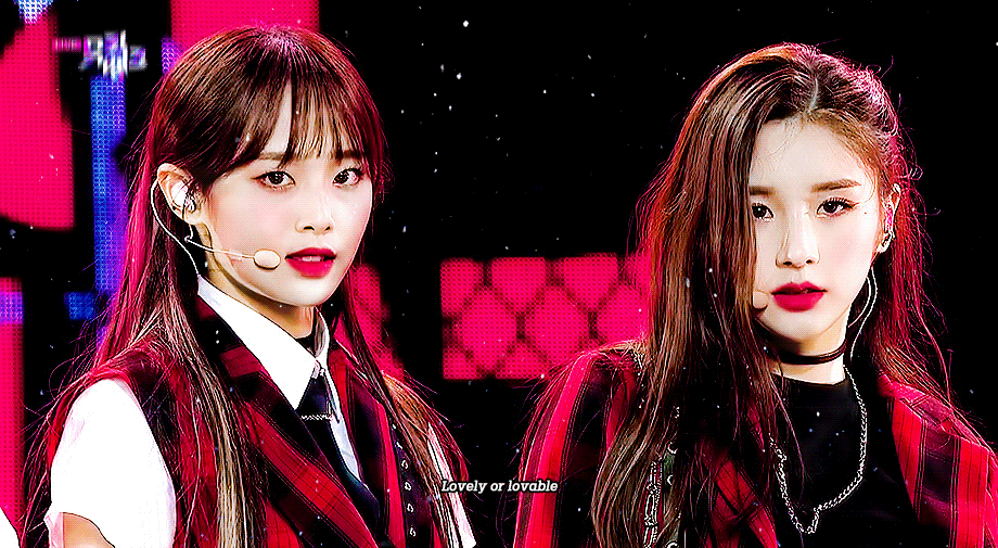 짱달소 모음 (짤 진짜진짜 많음) | 인스티즈