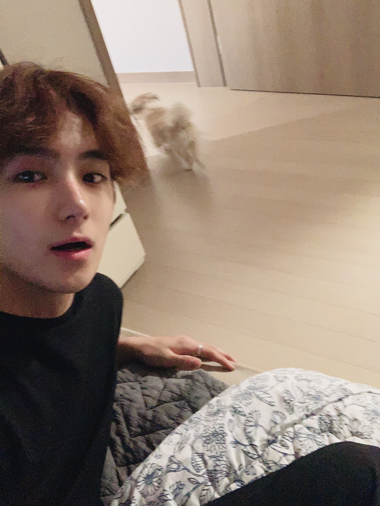 재현이랑 다롱이 이 사진 너무 좋아 | 인스티즈