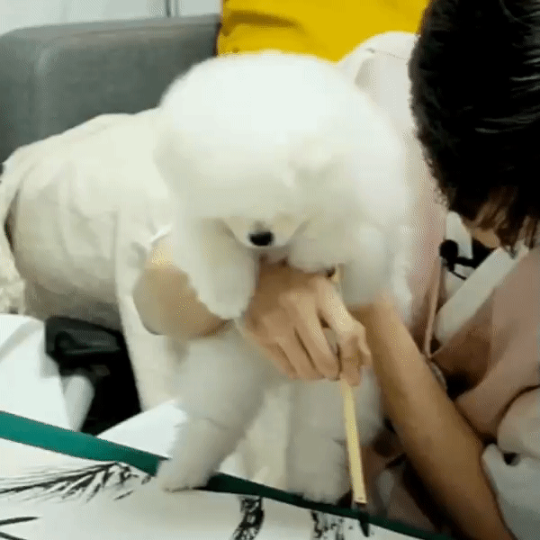 내가 김우석 강아지 진짜 순하다고 느낀 장면ㅋㅋㅋㅋㅋ | 인스티즈