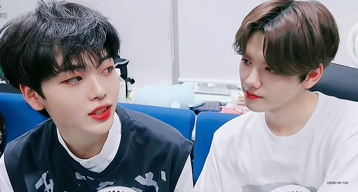 들렘 독방에 들렘심기 | 인스티즈