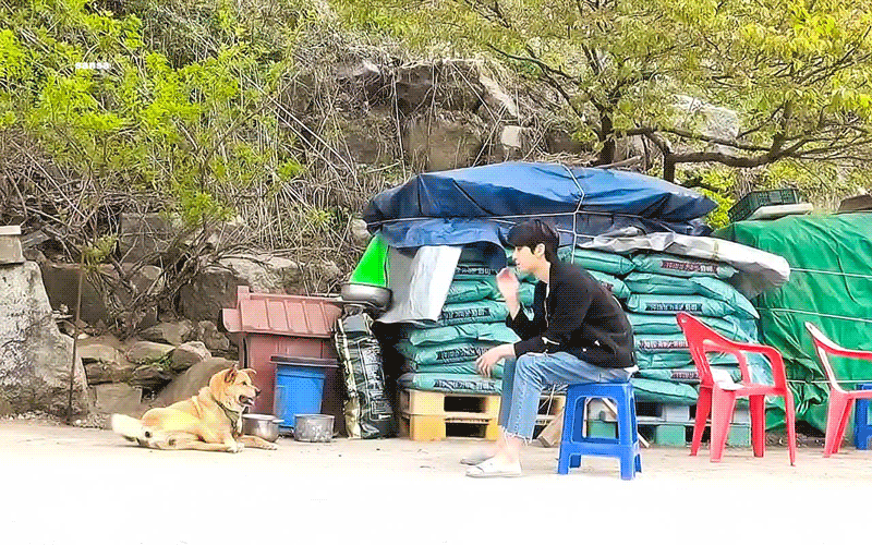 근데 짤쫄이 디따 기엽다 | 인스티즈