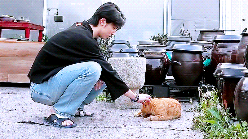 팬아저 | 인스티즈