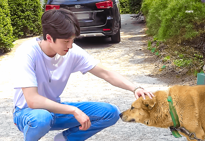 나 지금도 포포 이야기 하느라 잠못자네,,, | 인스티즈