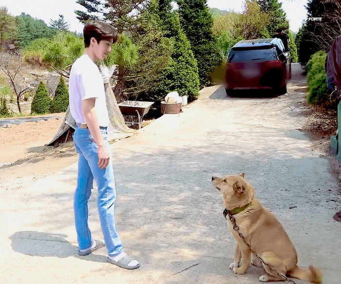 근데 짤쫄이 디따 기엽다 | 인스티즈