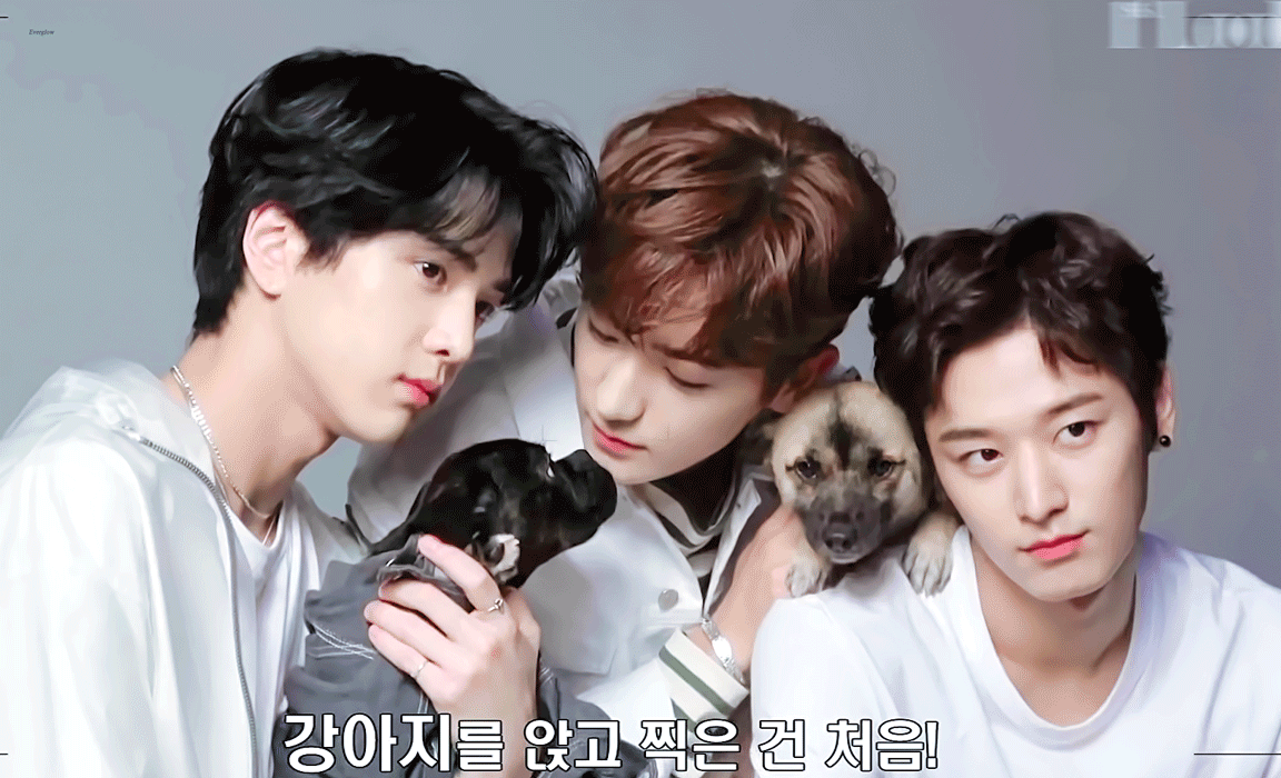 덥뮤다 얼굴합 볼 사람 | 인스티즈