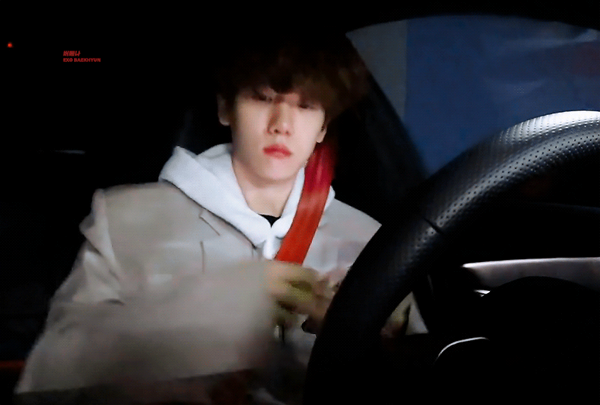 요즘은 강아지가 운전도 하나요..? 세상 좋아졌네요... | 인스티즈