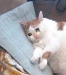 골차 보고싶다...골..ㅊ..r.. | 인스티즈