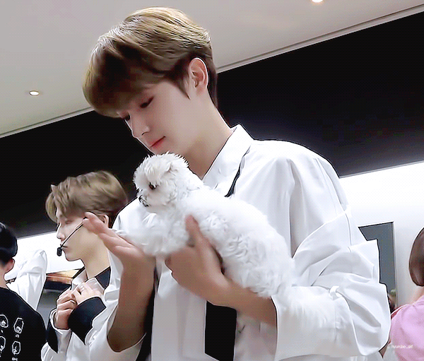 더보이즈 팬이라면 누구나 부러워하는 | 인스티즈