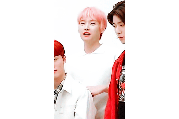 하 나 이 고양이 좀 많이 좋아하는듯 | 인스티즈