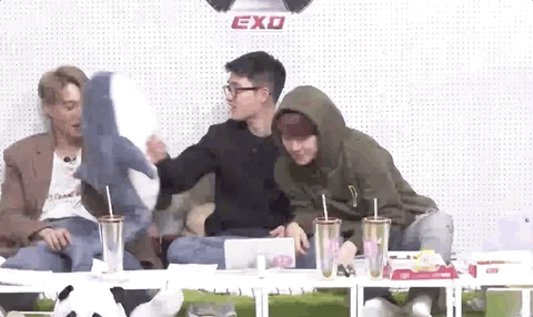 도경수 깜냥인이유? 집사의 터치는 피하는데 자기들 내킬땐 막 치대는점이 빼박 | 인스티즈