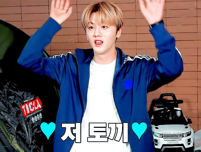 진짜 무해한데 위험하다 | 인스티즈